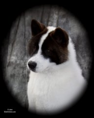 elizabethspup.jpg